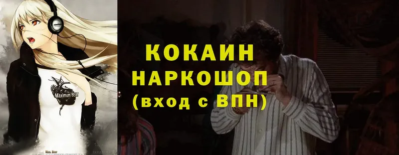 КОКАИН VHQ  цены   Каргополь 